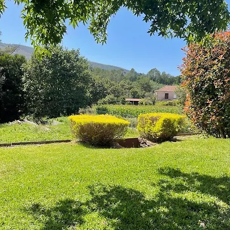 Casa Lapas Caminha *